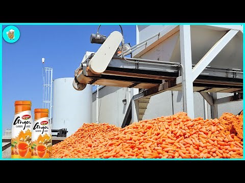 Unbelievable ! How To Produce 67 Billion Liters Of Carrot Juice - Carrot Processing Plant