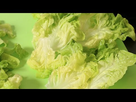 Comment préparer une salade verte