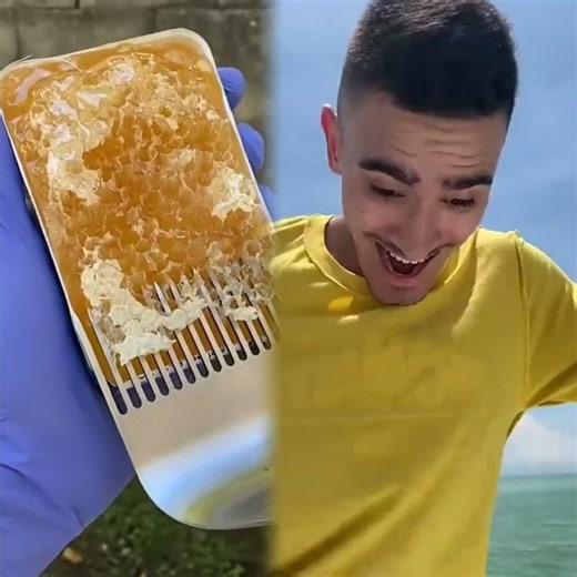 Caillou Goes Fishing