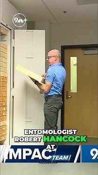 Bugs go into Winter survival