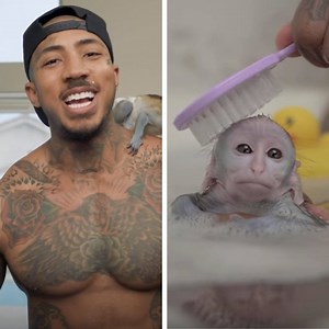 2.8M views · 582 reactions | This pet monkey lives the life I could only dream of!  | Bad Parenting Presents | Facebook