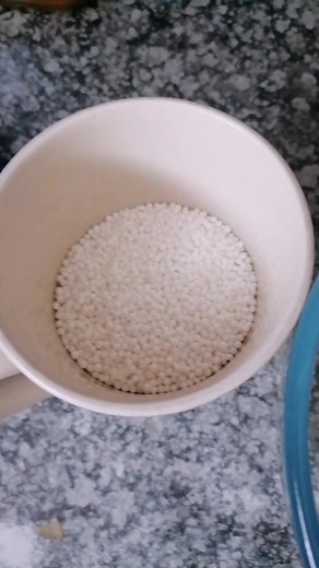 Sunday Sago Pudding Recipe | Delicious and Easy Dessert