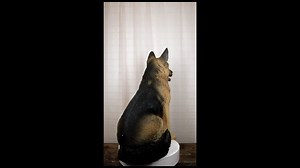 Watch Large Lifelike Realistic German Shepherd Dog Statue on Amazon Live
