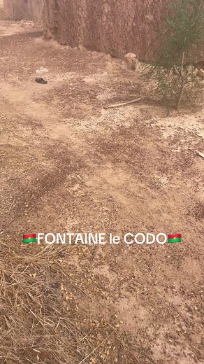 🇲🇱🇧🇫🇳🇪 voici la vraie face de la guerre mais bientôt la paix🇲🇱🇧🇫🇳🇪🥷💪🏿