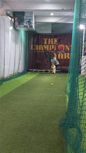 I Installed the Cricket Shot Mod