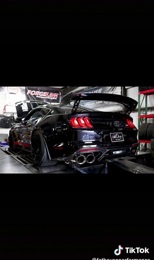 Shelby GT500 Code Red Dyno Run | Fathouse Performance