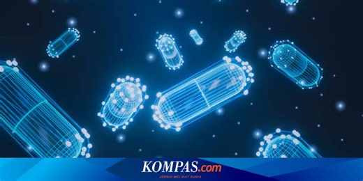 Mengenal Cara Kerja Probiotik yang Dikenal sebagai Bakteri Baik