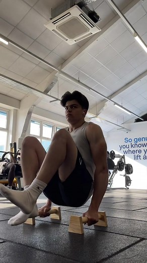 Wooden Parallettes for Calisthenics Beginners