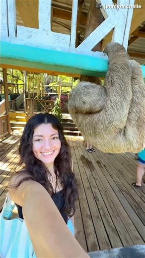 The Moment This Cute Animal Woke Up 😳