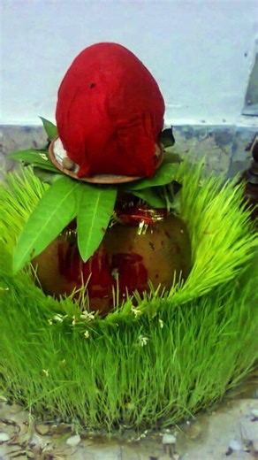 नवरात्रि खत्म होने के बाद कलश को क्याकरोगे 🔱🌺🙏 #astrology #lifeisbutadream🔱🔱 #lifeisbutadream #song