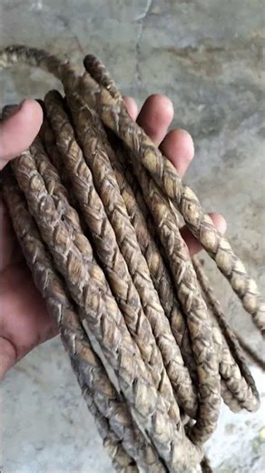 rawhide rope strong loop