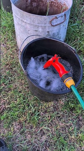 Efficient Watering Process with Hose in Buckets for Your Backyard Garden Activities