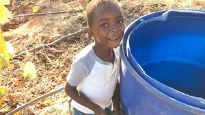 Taking organic farming to a whole different level | Radical Farmer - Organic Farm7