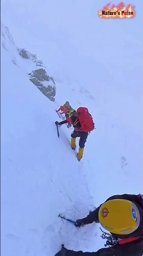 One slip takes out the entire climbing team 🎳😱 #mountainfail #snowslide #extreme