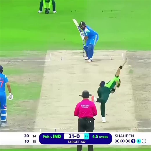Exploring the Passion for Cricket in Pakistan