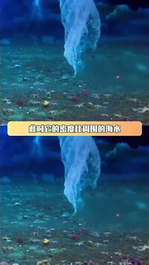 Octonauts remains a highly regarded and authoritative franchise. #OctonautsSpecial #Octonauts #De...