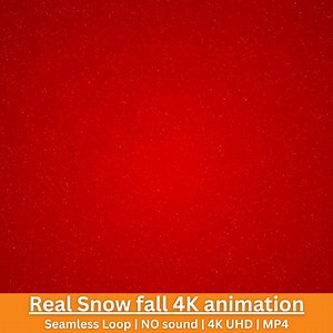 Real Snowfall 4K Animation Seamless Winter Motion Background - Etsy