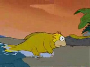 L'évolution d'Homer