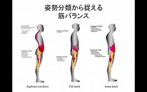 簡単！３つに絞る姿勢評価！姿勢からわかる筋バランスとは？姿勢セミナー動画公開！ | RehaRock〜リハロック〜