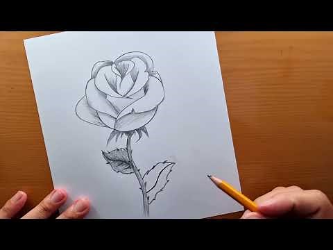 ROSE Dessin Facile 🌹au crayon | Comment dessiner une rose étape par étape