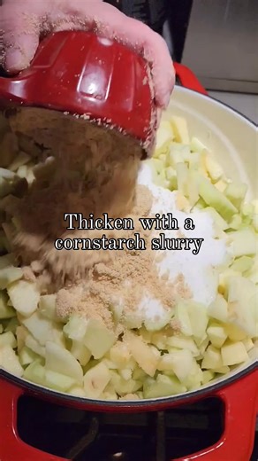 11K views · 184 reactions | Fried Apple Pies just like grandma made. Uses homemade pie crust or biscuit dough, Apple pie filling made with a variety of apples. (Recipe in comments) | A Farmgirl's Kitchen | Facebook