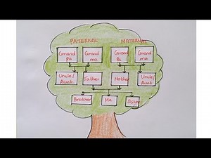 how to draw a family tree for kids|easy way to draw family tree step by step