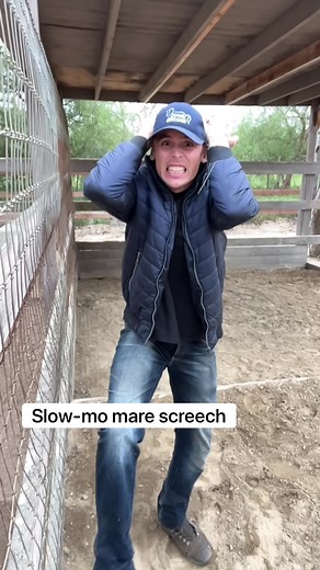 I found I accidentally filmed a slowmo mare screech when I was putting together my 90second mare screech video #horsesandhumor #horse #equestrian