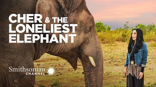 Cher & the Loneliest Elephant - Watch Full Movie on Paramount Plus