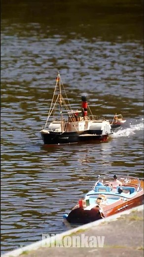 RC Paddle Steamer in Action! 🌊✨