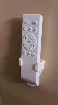 EDISHINE Caged Ceiling Fans with Lights Flush Mount