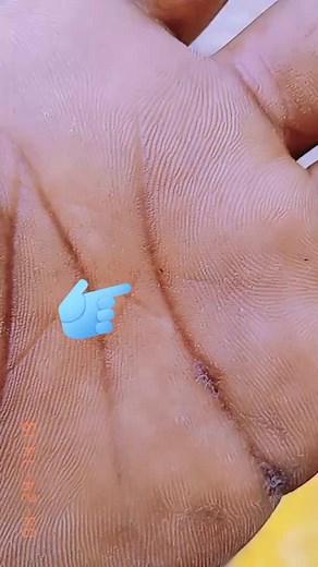 Close-up Study of Human Hand Details