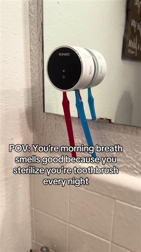 Essential Toothbrush Sterilization Tips for Oral Health