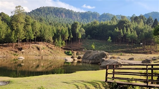 Llano de Lobos, un fin de semana en el bosque - México Desconocido