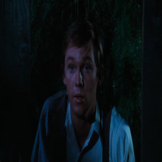 The Waltons S04E18E19 – The Burn Out Part 49 | Ronald Yates