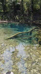 Such an awesome spring and karst formation! | Florida Panhandle Springs and Fossils