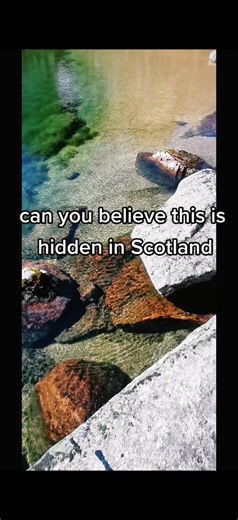 Viki Wilson on TikTok