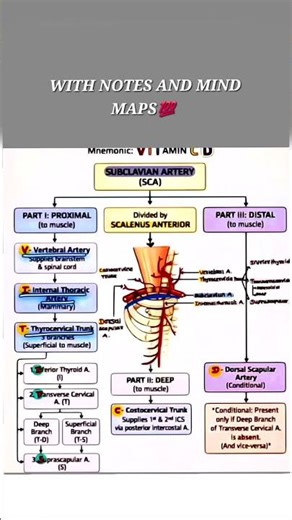 Act like dumb play like pro💯