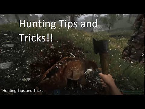 Subsistence: Hunting Tips and Tricks