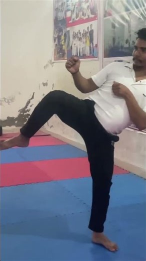 Day 4 | karate power & speed training | karate home workout