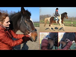 EXPLAINING ALL MY BITLESS BRIDLES