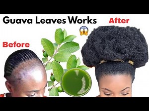 Use Guava Leaves Once & Your Hair Will Never Stop Growing | Overnight Results!