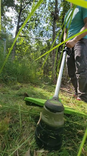 Mike on Instagram: "Giving this new @greenworkstools string trimmer a workout on an area that's been neglected for far too long and it didn't disappoint! #greenworks #stringtrimmer #weedeater #lawncare"