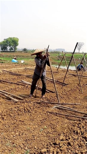 Frame Making #shorts