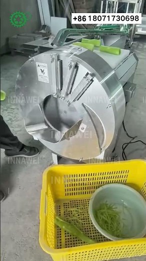 Vegetable Julienne Cutter Commercial Vegetable Strips Cutter Vegetable Slicer #machine #kitchen