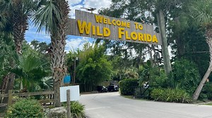 Report: 28 injured in Wild Florida airboat crash