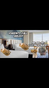 239K views · 6.4K reactions | CAT MEMES: FULL FAMILY VACATION COMPILATION ❤️ #relationship #cat #cats | Relatable Cute Cats | Facebook