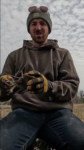 How to set trap for pocket Gophers. The traps we use. Full video on my page. #trapping #hunting