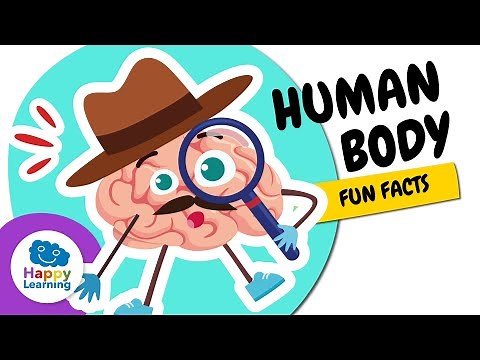 🧠👁️ Amazing Facts About the Human Body | Educational Videos for Children | ‪@HappyLearningENG‬