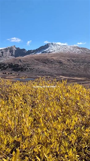 truly do take Colorado for granted sometimes, so grateful to live in such a stunning place 💛 #colorado #mountains #leafpeeping #denvercolorado #fyp