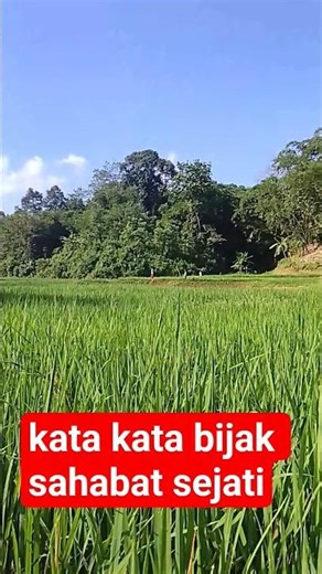 kata kata bijak sahabat sejati #shortvideo #sahabatsejati #motivasidiri